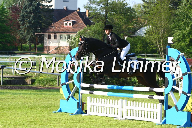 005M3742_Chatroom_Springpferde A.JPG